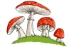What Can You Do About Shrooms Canada Right Now