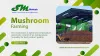 The Ultimate Guide Mushroom Farming - SM Biotech | Crivva