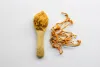 Mushroom Powder Vs Extracts – which make the Best Mushroom Supplements?