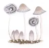 How To Make Your Shrooms Canada Look Amazing In 5 Days