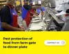  what is grain fumigation method and how important it?