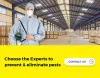 Why should you hire a right pest control company