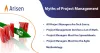 Project management