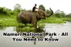 Nameri National Park - All You Need to Know - AtoAllinks