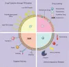 Nanoparticles for Therapeutic Vehicles-Liposomes - CD Bioparticles