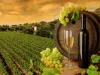 Limo Wine Tours