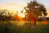 Narconon Africa