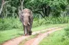 National Parks of India GK Questions Answers - Geography GK