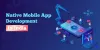 Native Mobile App Development in India - Binary Informatics