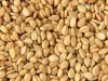 Sesame Suppliers | Organic Sesame Seeds Manufacturers, Exporters