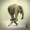 Popular Energy drink Manufacturer in Congo