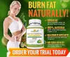 Shree Herbal India: Garcinia Cambogia: Safe for weight loss?