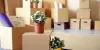 Tips to protect your plant during shifting process in Delhi