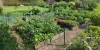 NDIS YARD MAINTAINING