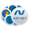 ASP.NET Web Development Company | Hire ASP.NET Developer India