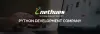 Top Python Development Company in USA | Nethues Technologies