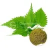 nettle leaf extract, nettle leaf extract organic, nettle leaf tea benefits, nettle leaf benefits