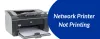 Network Printer Not Printing | How to Fix Network Printer Problems