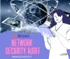 network security audit