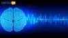 Neurologist Email List | Neurologists Mailing List | Neurology Mailing Addresses Database