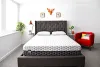 Hypoallergenic Bedding | How Anti-Allergy Sheets Helps Improve Sleep