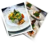           Mississauga Catering Service  | GTA Caterer | Gourmet Private Chef | Party &amp; Corporate | GTA Caterer is your Mississauga Catering Service offering gourmet private and corporate catering as well as personal chef service in Mississauga and Greater Toronto | GTA Caterer Inc.     