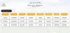 new city paradise payment plan