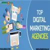 Social media role in business development