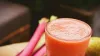 Choosing Between 310 Shake and Shakeology