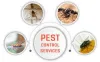 Precautions to take before and after the pest control  in Macomb county - Trap Master Pest Control