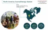 Rising Disposable Income Driving North American Aromatherapy Market