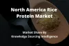 North America rice protein market