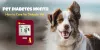 Pet Diabetes Month - How to Care for Diabetic Pet - CanadaVetCare Blog