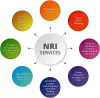 NRI Services | Best Portfolio Management Services In India | PMSAdvisors