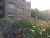 Nursery Admission 2023-2024