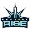 women professional fastpitch new york