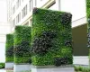 Outdoor Vertical garden – theleaflandscape