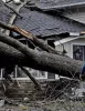 Storm Damage Blue Springs MO
