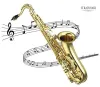 Benefits of Using Saxophone - stradivaristringssg.over-blog.com