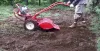 How to Create a Vegetable Garden 