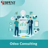 odoo consulting services | odoo technical consultant- SerpentCS