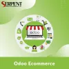 odoo ecommerce website | ecommerce services- SerpentCS