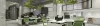 Air Purifier Plants for Office in Gurgaon - Garden On Hire