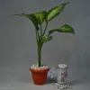 Decorative Balls online