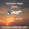 Best Favorite Places in USA