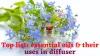  Top List Diffuse Essential oils For Stress  - DGS Health  
