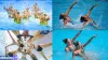 Olympic Paris: Double gold for Inui as Japan continues to dominate Olympic Artistic Swimming for Paris 2024 - Rugby World Cup Tickets | Olympics Tickets | British Open Tickets | Ryder Cup Tickets | Women Football World Cup Tickets