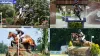 Olympic Paris: Northumberland County Equestrian Dressage athlete qualifies for Olympic 2024 - Rugby World Cup Tickets | Olympics Tickets | British Open Tickets | Ryder Cup Tickets | Women Football World Cup Tickets
