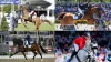 Olympic Paris: 16-Year-Old Olympic Equestrian Makes an Appeal to the Paris Olympic Community After Achieving a Rare Feat - Rugby World Cup Tickets | Olympics Tickets | British Open Tickets | Ryder Cup Tickets | Women Football World Cup Tickets