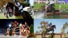 Olympic Paris: Olympic Equestrian Eventing Shane Rose hopeful for Paris 2024 Virgil must clear - Rugby World Cup Tickets | Olympics Tickets | British Open Tickets | Ryder Cup Tickets | Women Football World Cup Tickets | Euro Cup Tickets